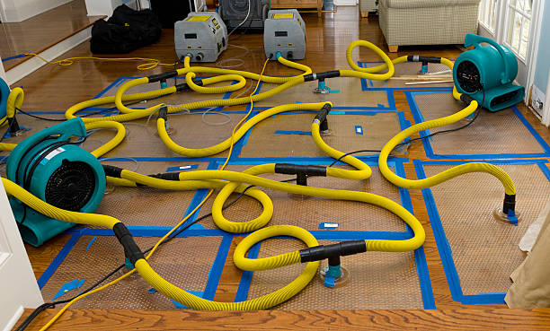 Professional Storm Water Damage Restoration technician working in Sandstone, MN